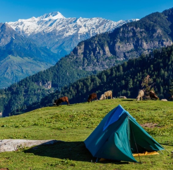 Triund-Mcleodganj-Dharamshala