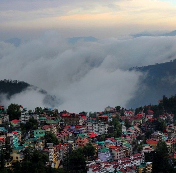 Shimla Hills