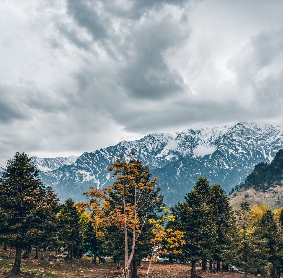 atal-tunnel-manali
