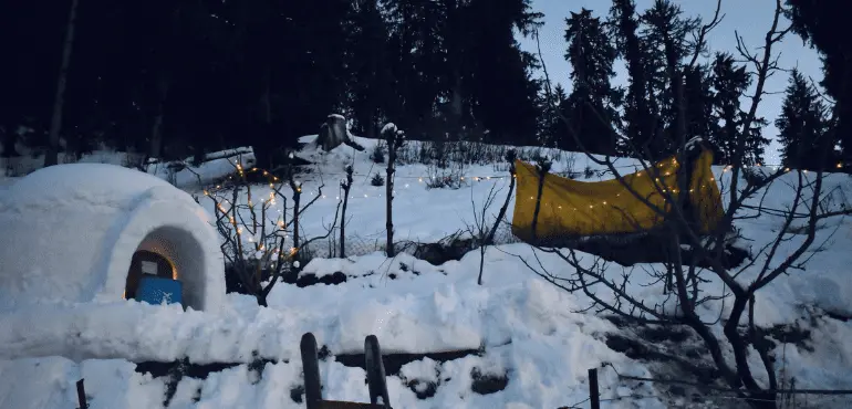shimla-kasol-image